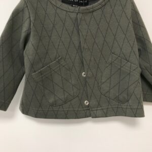 Vest - geruit - Groen/Blauw