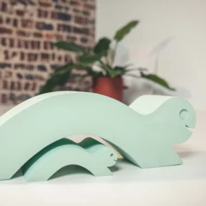 Turtle & Baby - Turtle green
