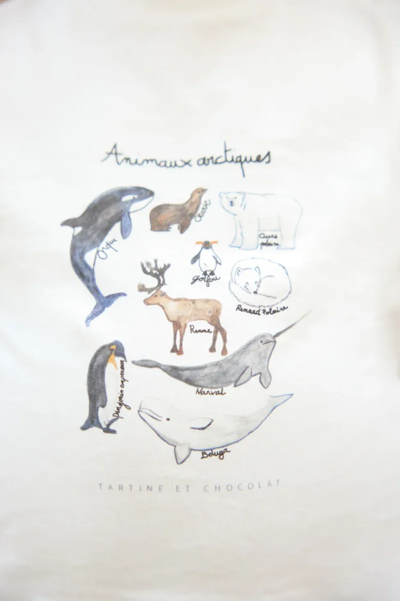 T-shirt - lange mouwen - Conquete Arctique - Bleu Grisé