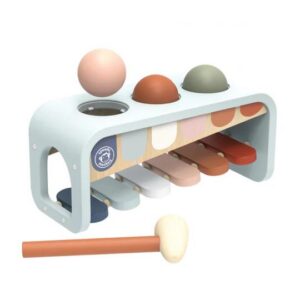 Xylofoon & Hamerbank - 2in1 -